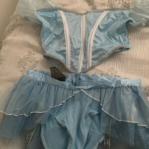 Size L Cinderella adult costume